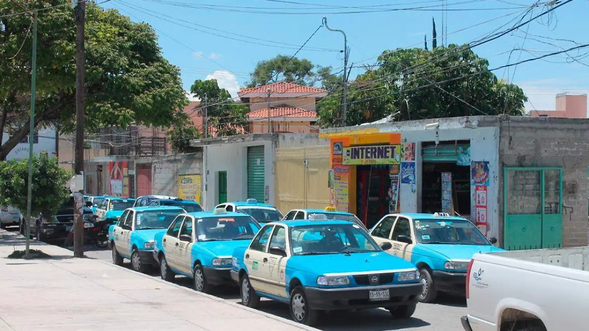 Taxis regularizados no cumplieron con la Revista Vehicular